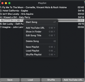 Playlist - Lyrics Player